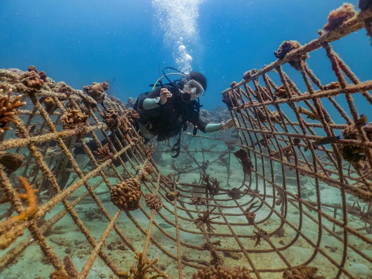 New Heaven Dive Resort Ko Tao 0*,  Tailandia