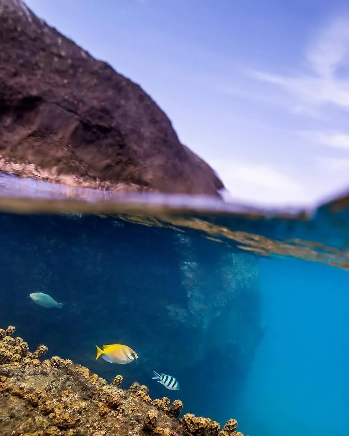New Heaven Dive School And Resort Koh Tao 0*,